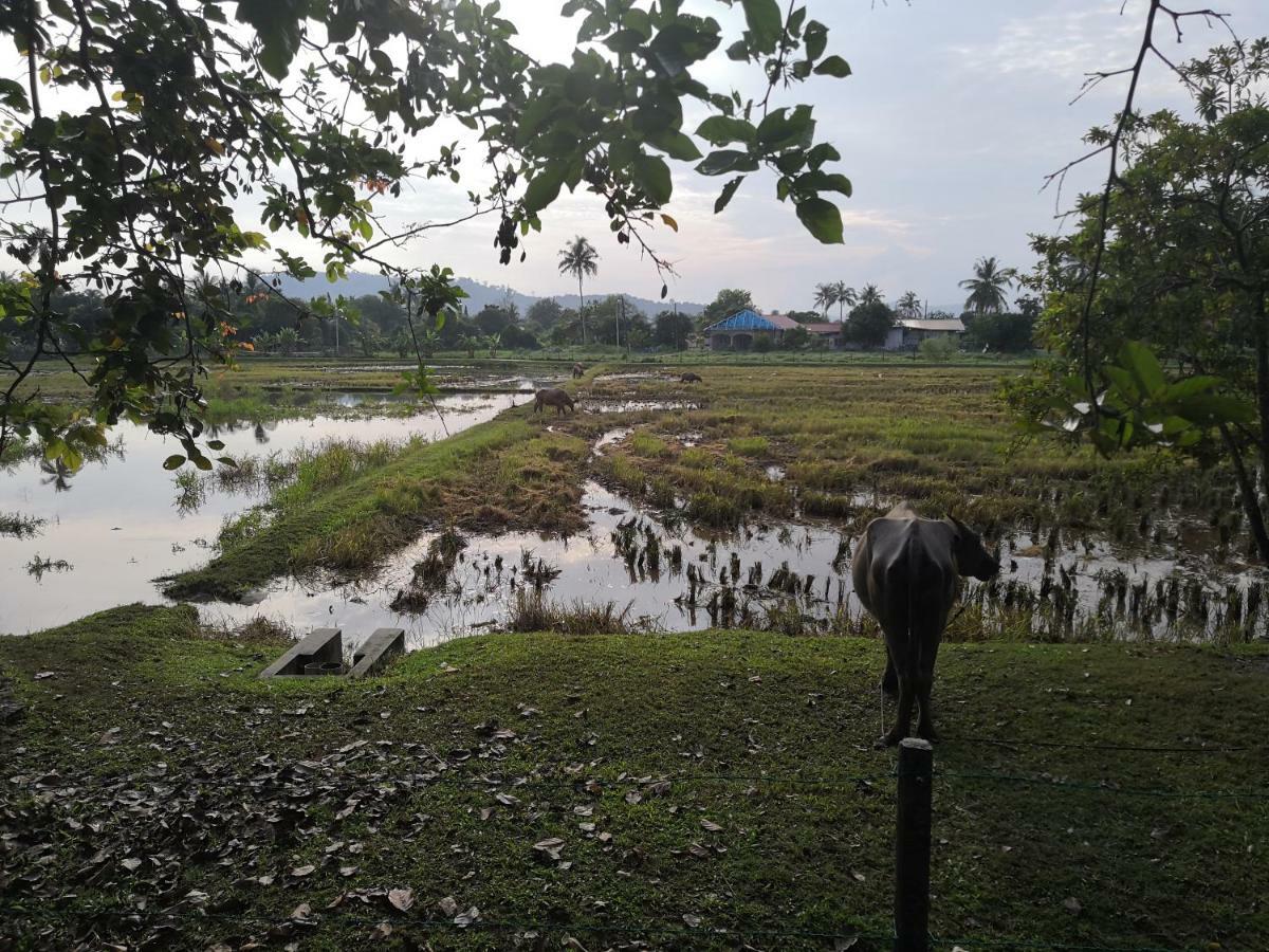 Homestay Barakah Cenang Langkawi Pantai Cenang  Bagian luar foto